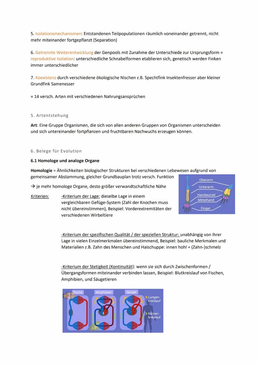 Biologie Klausur 12 Q2 Evolution
0. Evolution
Evolution: Die Evolution ist in der Biologie die genetische und daraus resultierende phänotypi