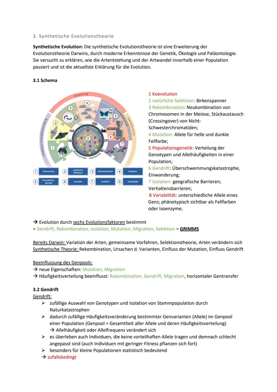 Biologie Klausur 12 Q2 Evolution
0. Evolution
Evolution: Die Evolution ist in der Biologie die genetische und daraus resultierende phänotypi
