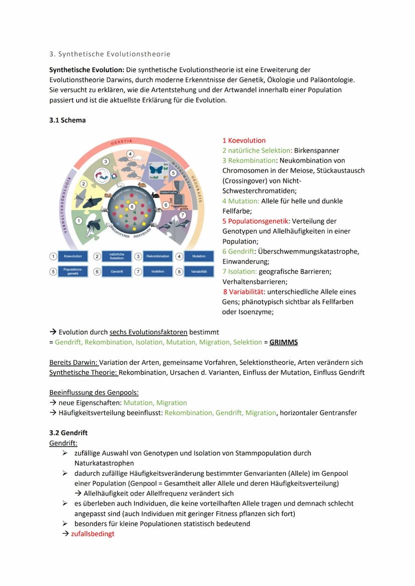 Biologie Klausur 12 Q2 Evolution
0. Evolution
Evolution: Die Evolution ist in der Biologie die genetische und daraus resultierende phänotypi