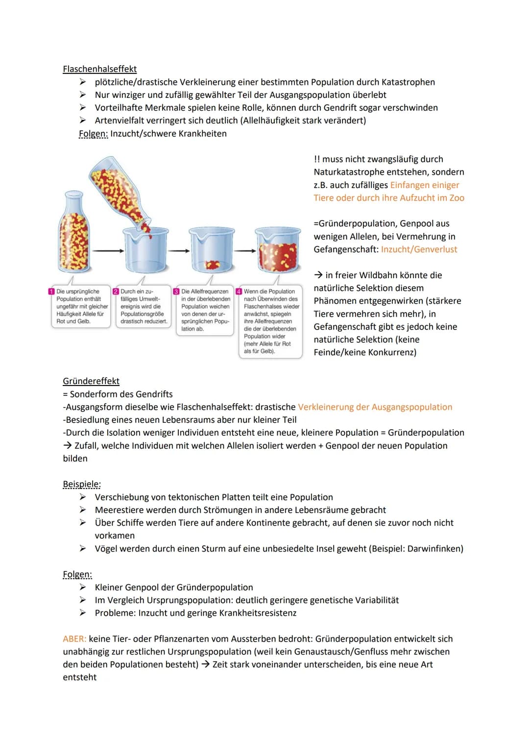 Biologie Klausur 12 Q2 Evolution
0. Evolution
Evolution: Die Evolution ist in der Biologie die genetische und daraus resultierende phänotypi