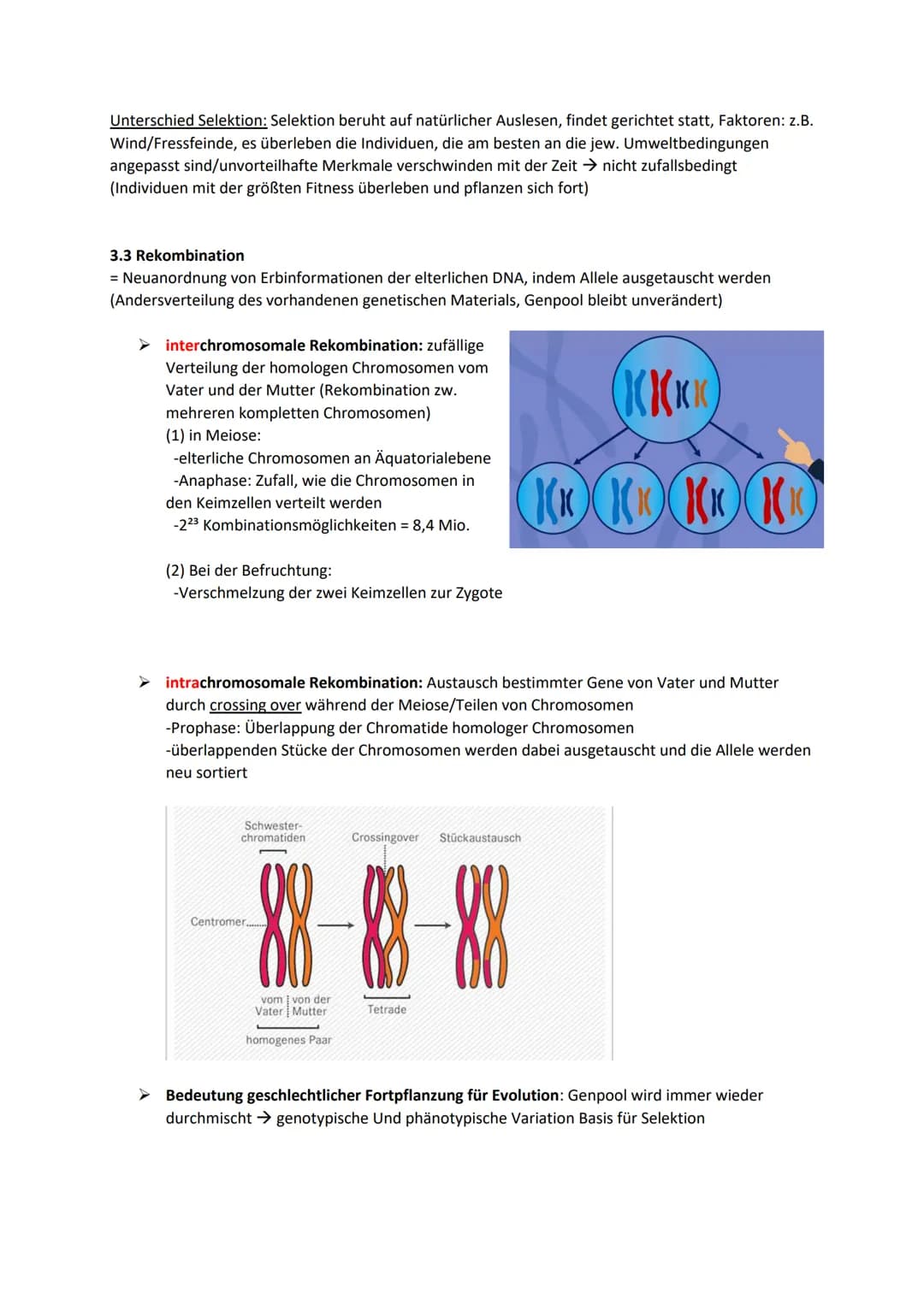 Biologie Klausur 12 Q2 Evolution
0. Evolution
Evolution: Die Evolution ist in der Biologie die genetische und daraus resultierende phänotypi