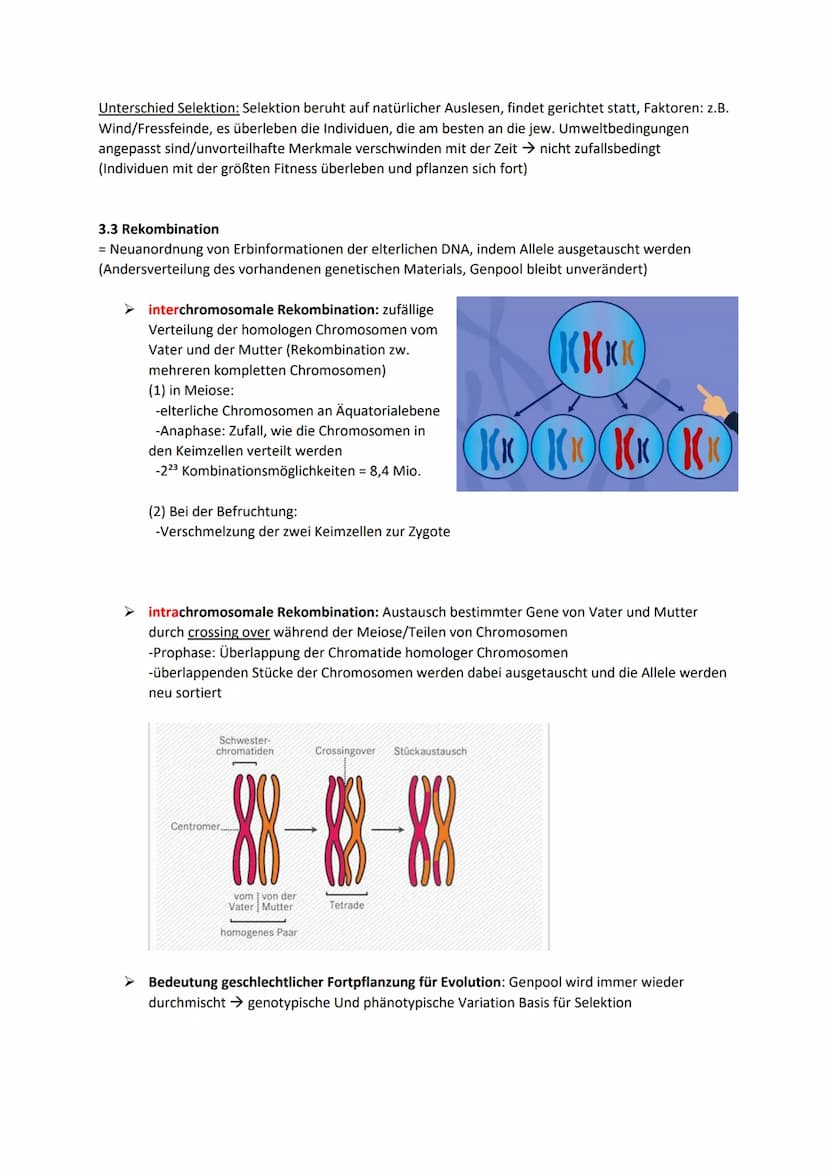 Biologie Klausur 12 Q2 Evolution
0. Evolution
Evolution: Die Evolution ist in der Biologie die genetische und daraus resultierende phänotypi