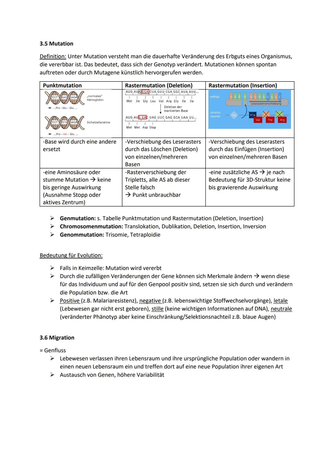 Biologie Klausur 12 Q2 Evolution
0. Evolution
Evolution: Die Evolution ist in der Biologie die genetische und daraus resultierende phänotypi