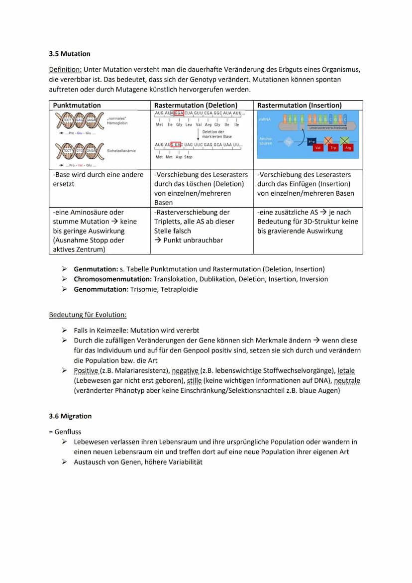 Biologie Klausur 12 Q2 Evolution
0. Evolution
Evolution: Die Evolution ist in der Biologie die genetische und daraus resultierende phänotypi