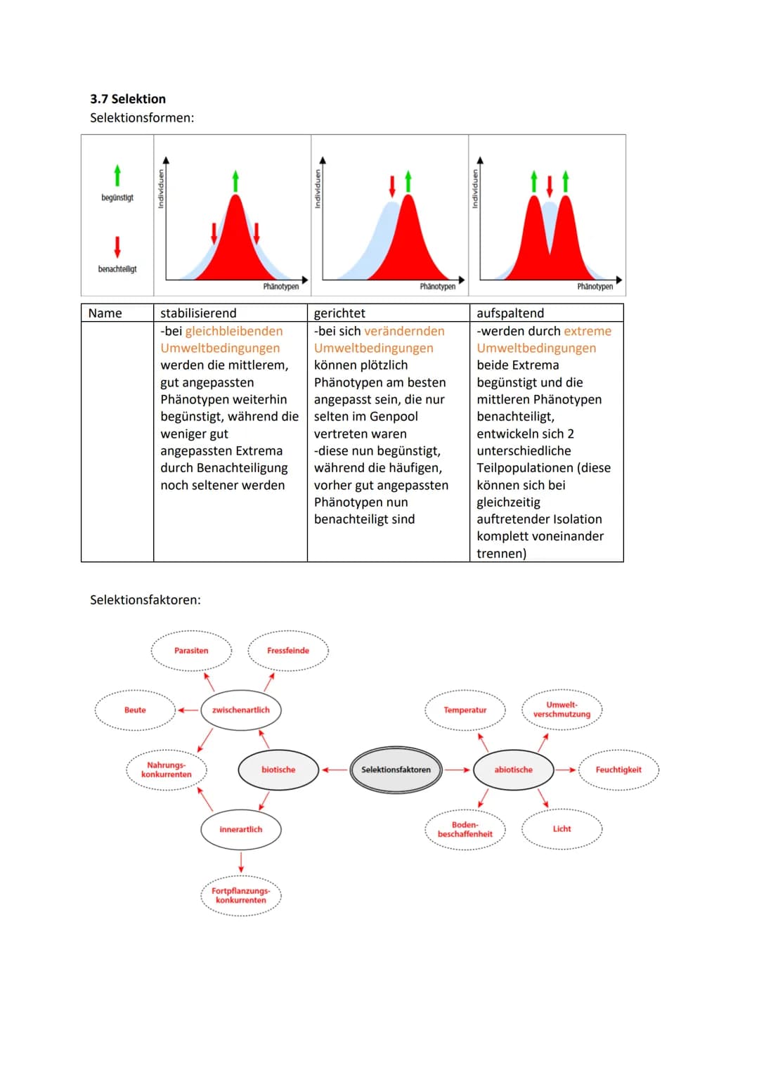 Biologie Klausur 12 Q2 Evolution
0. Evolution
Evolution: Die Evolution ist in der Biologie die genetische und daraus resultierende phänotypi
