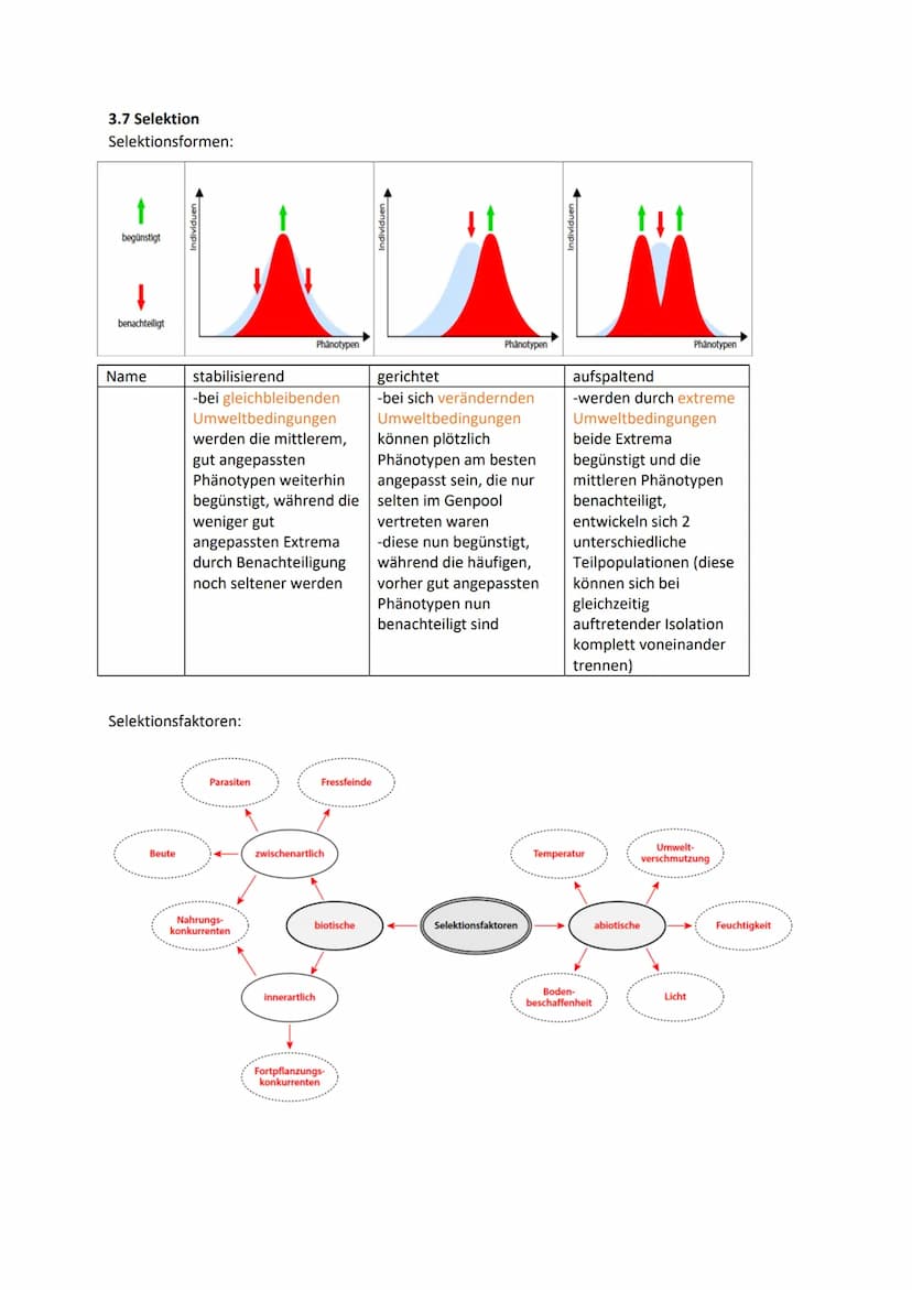 Biologie Klausur 12 Q2 Evolution
0. Evolution
Evolution: Die Evolution ist in der Biologie die genetische und daraus resultierende phänotypi