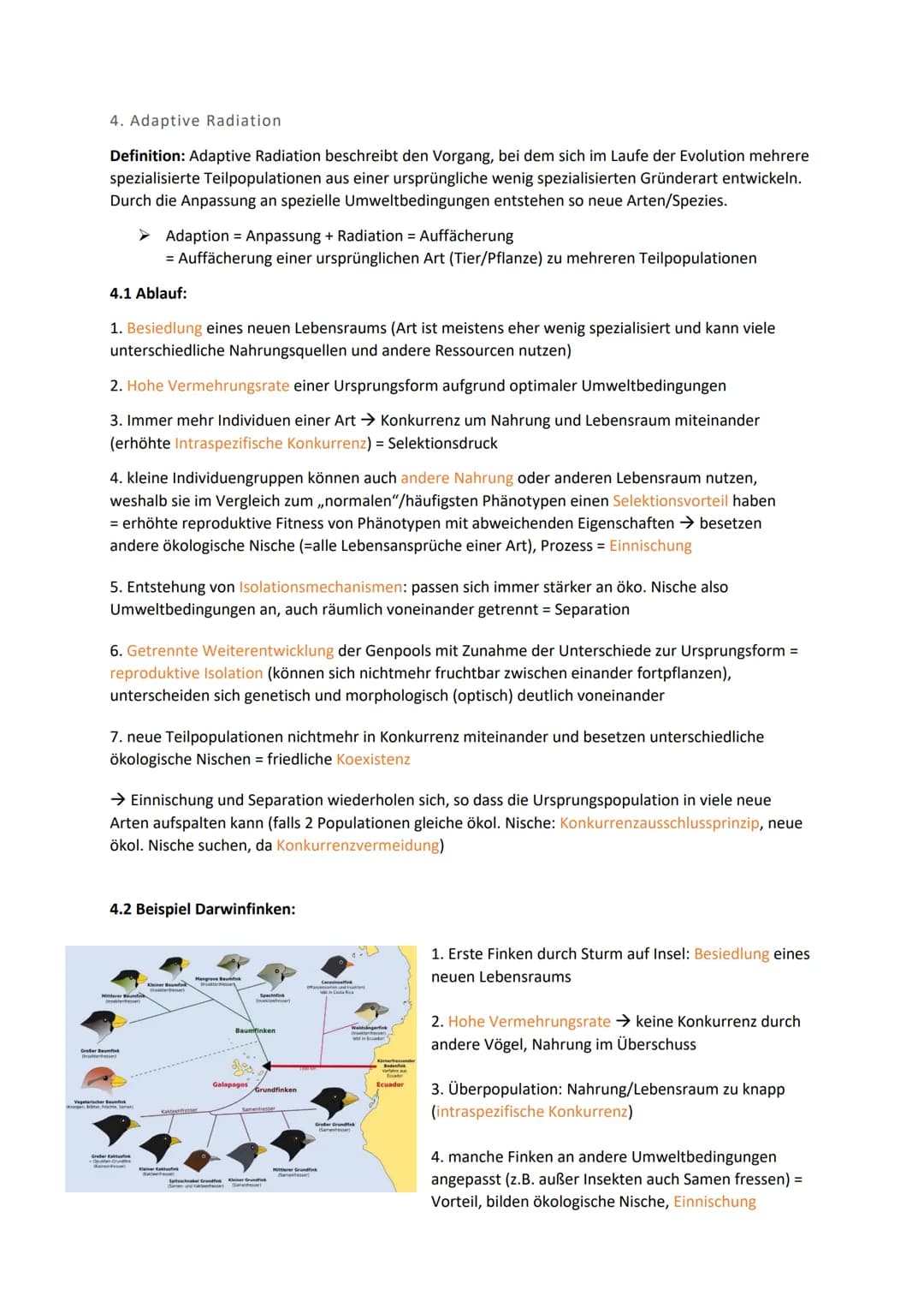 Biologie Klausur 12 Q2 Evolution
0. Evolution
Evolution: Die Evolution ist in der Biologie die genetische und daraus resultierende phänotypi