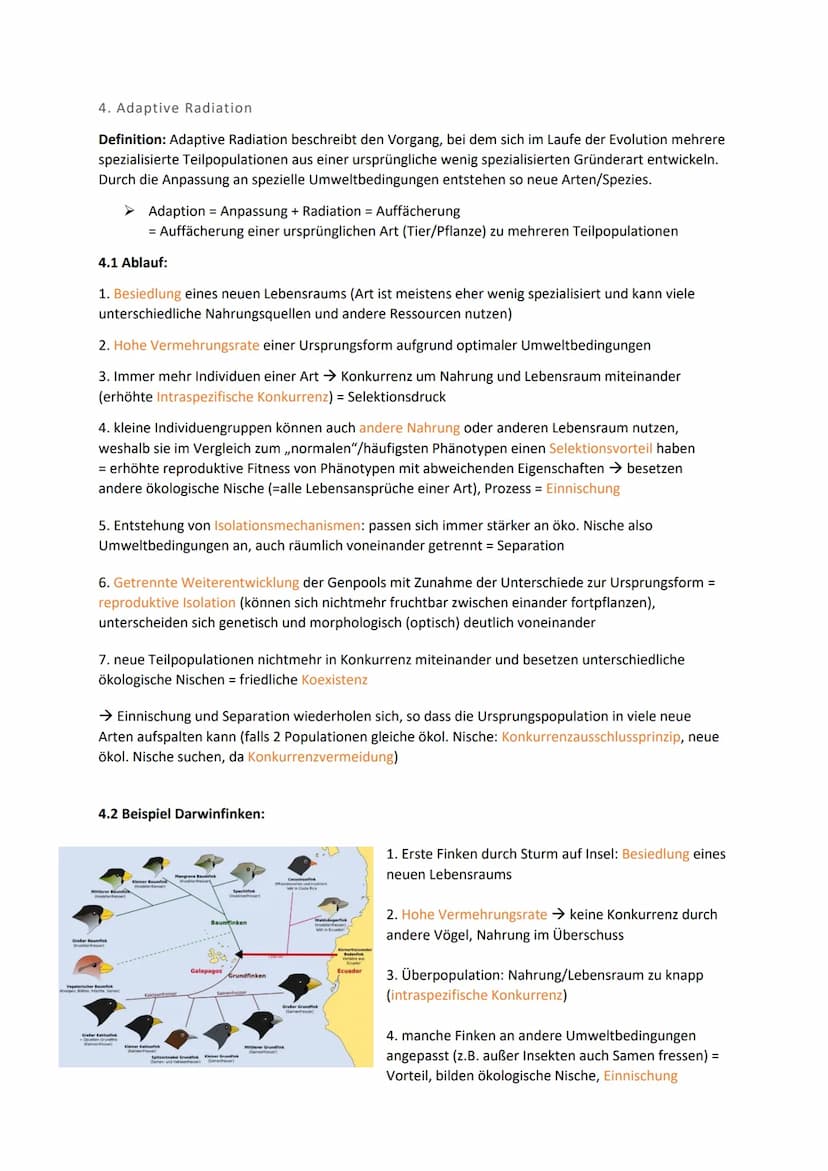 Biologie Klausur 12 Q2 Evolution
0. Evolution
Evolution: Die Evolution ist in der Biologie die genetische und daraus resultierende phänotypi