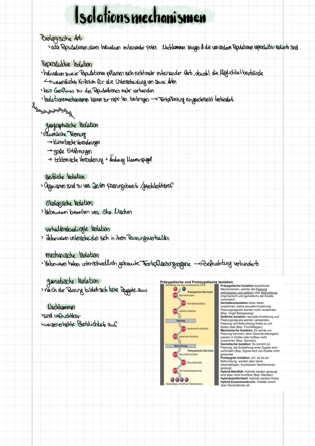 # EVOLUTION

morphologischer Artbegriff (kind. Klassifizierungseyston)
> Arbdefinition nach Aussehen, betrachtet werder außere (morph.) Moko