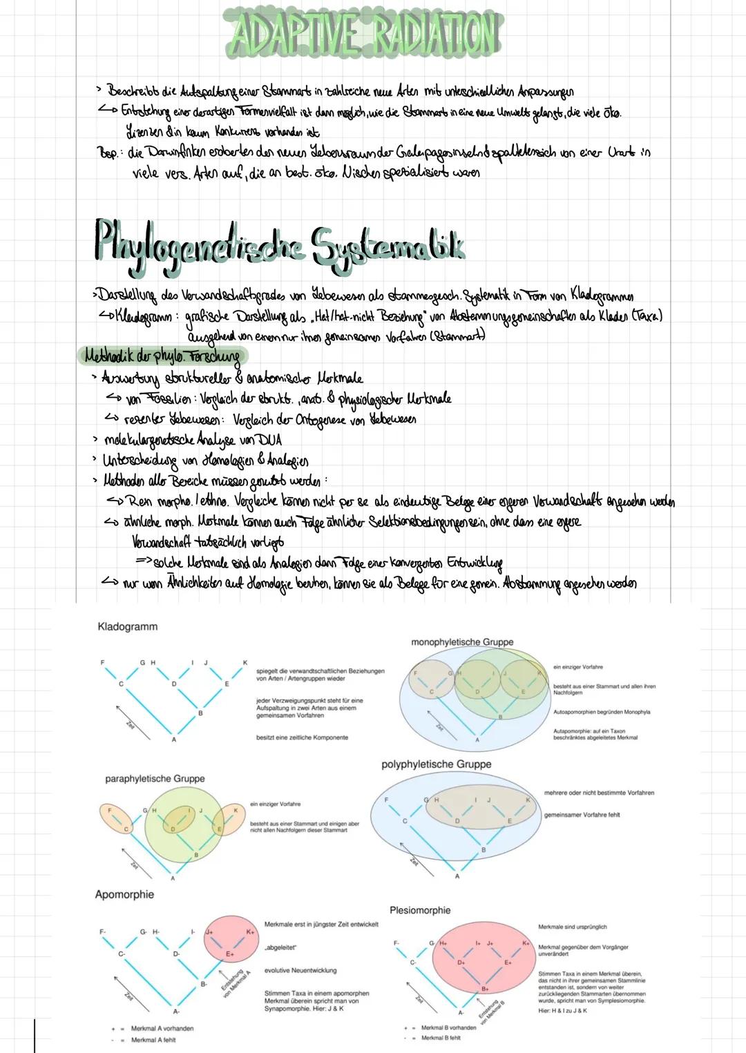 # EVOLUTION

morphologischer Artbegriff (kind. Klassifizierungseyston)
> Arbdefinition nach Aussehen, betrachtet werder außere (morph.) Moko