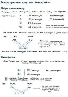 Know Blutgruppenvererbung und Rhesusfaktor thumbnail