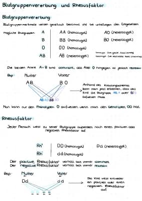 Know Blutgruppenvererbung und Rhesusfaktor thumbnail