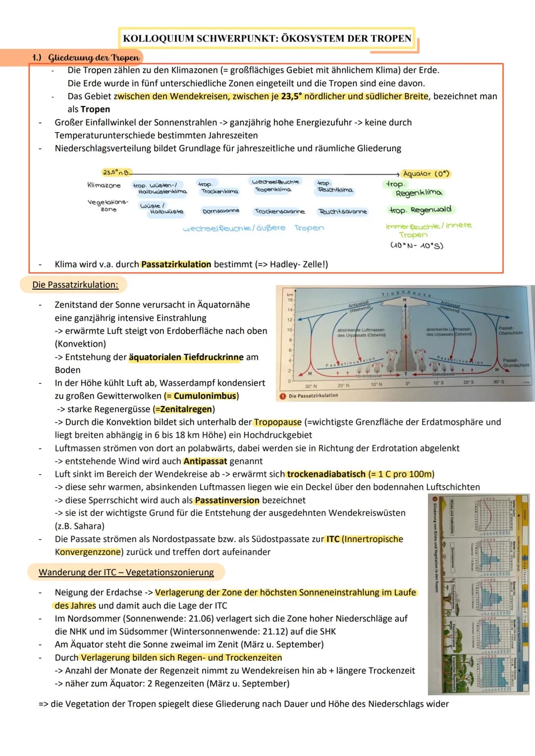 KOLLOQUIUM SCHWERPUNKT: ÖKOSYSTEM DER TROPEN
1.) Gliederung der Tropen,
Die Tropen zählen zu den Klimazonen (= großflächiges Gebiet mit ähnl