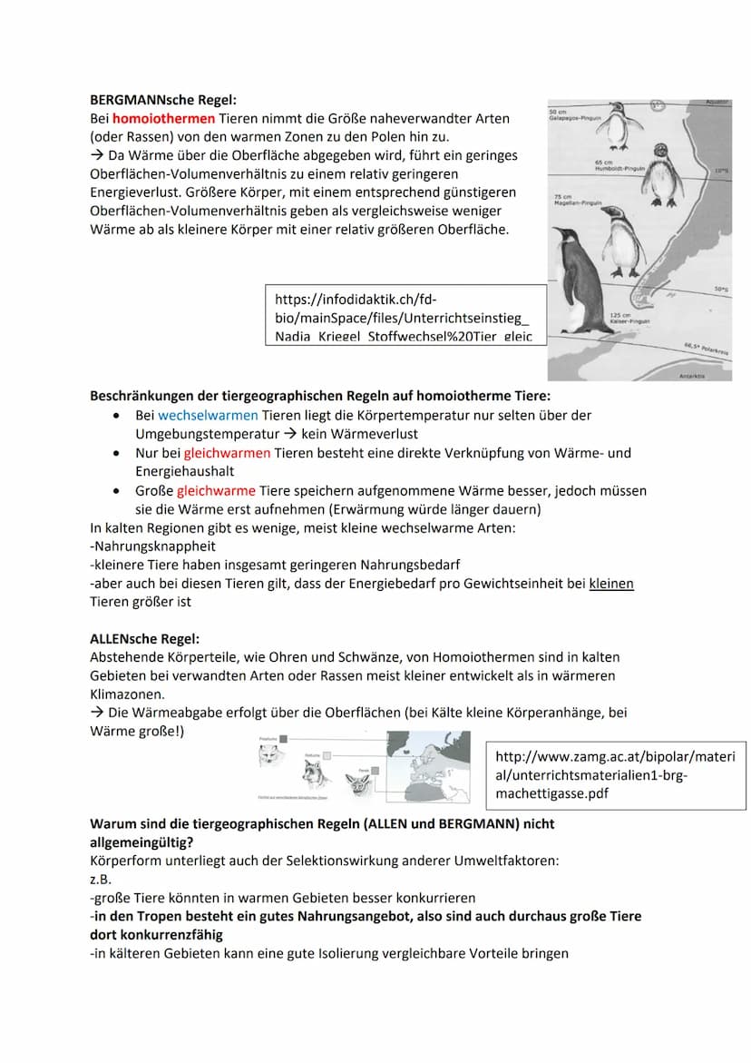 Ökologie:
Die Ökologie untersucht die Beziehungen der Lebewesen untereinander und zu ihrer
abiotischen Umwelt.
Abiotische Faktoren:
Unbelebt