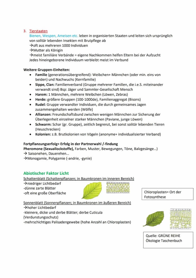 Ökologie:
Die Ökologie untersucht die Beziehungen der Lebewesen untereinander und zu ihrer
abiotischen Umwelt.
Abiotische Faktoren:
Unbelebt