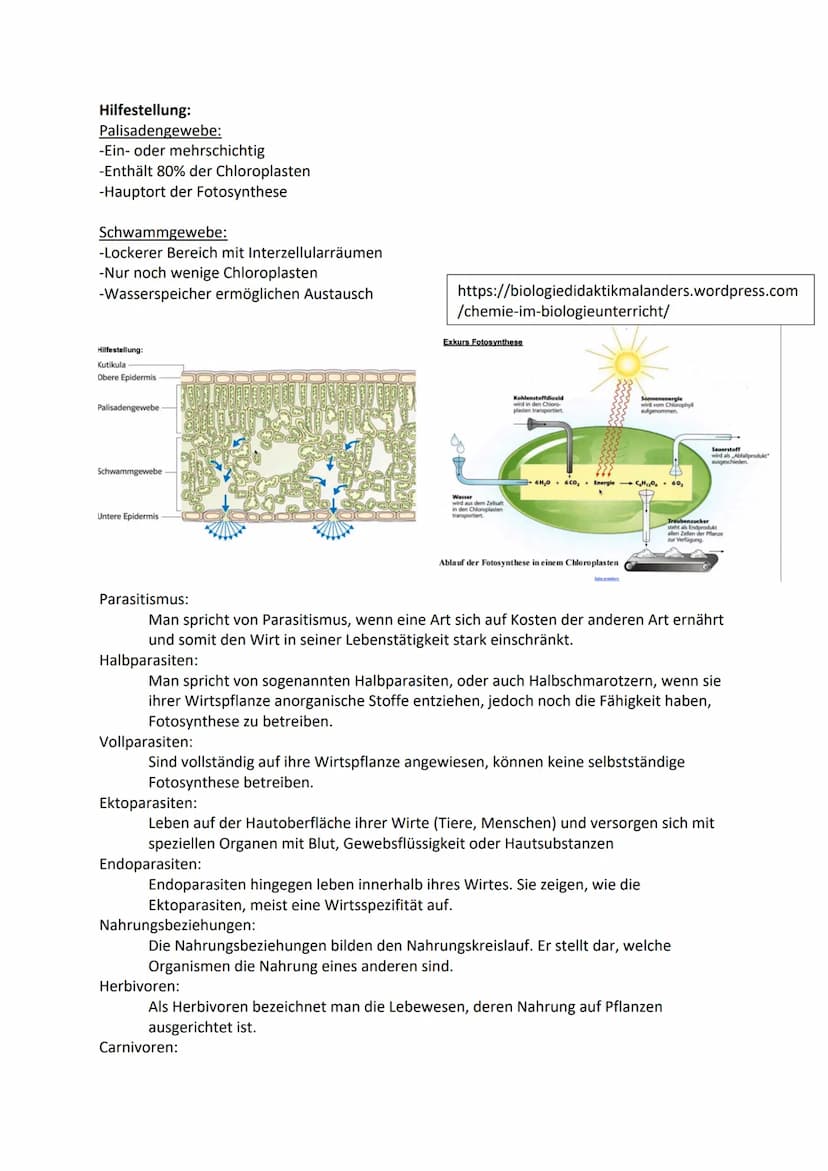 Ökologie:
Die Ökologie untersucht die Beziehungen der Lebewesen untereinander und zu ihrer
abiotischen Umwelt.
Abiotische Faktoren:
Unbelebt