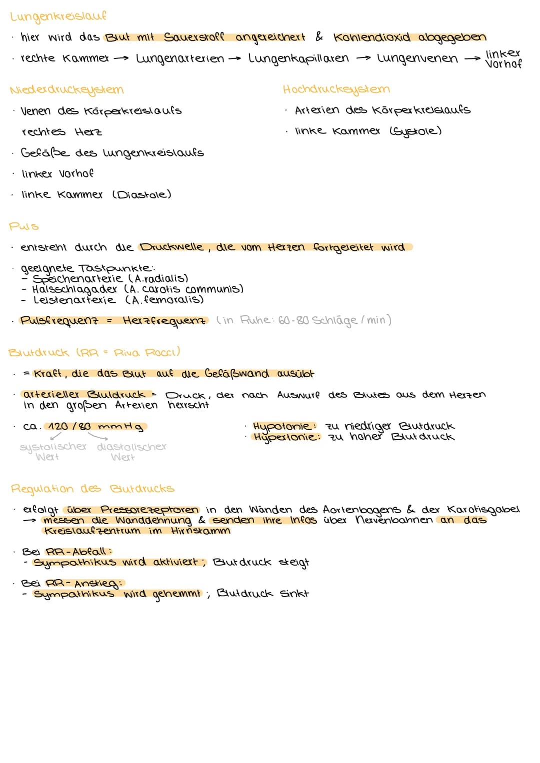 3.1 AUFBAU DES KÖRPERS.
3.1.1 Organisationsebenen des Körpers
Allerkleinste Ebene, Grundbausteine jeder Materie: Atome
Verbindung einzelner 