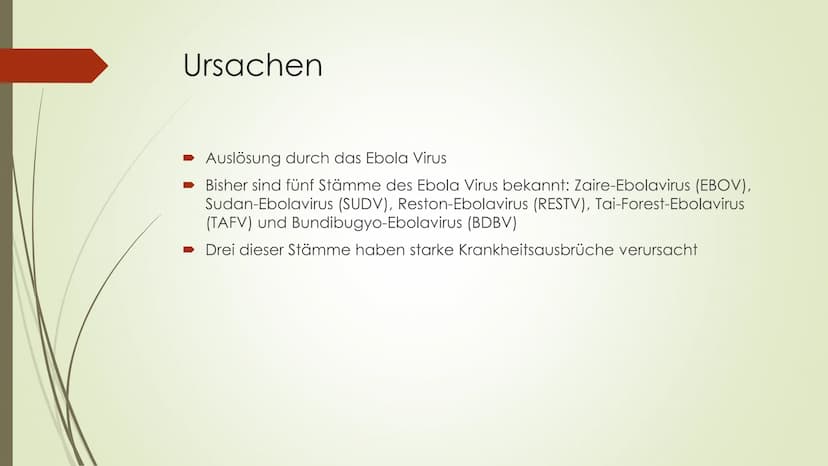 Ebola Handout
Was ist Ebola überhaupt?
- Viruskrankheit, die nach dem Fluss Ebola in der
demokratischen Republik Kongo benannt wurde, wo
das