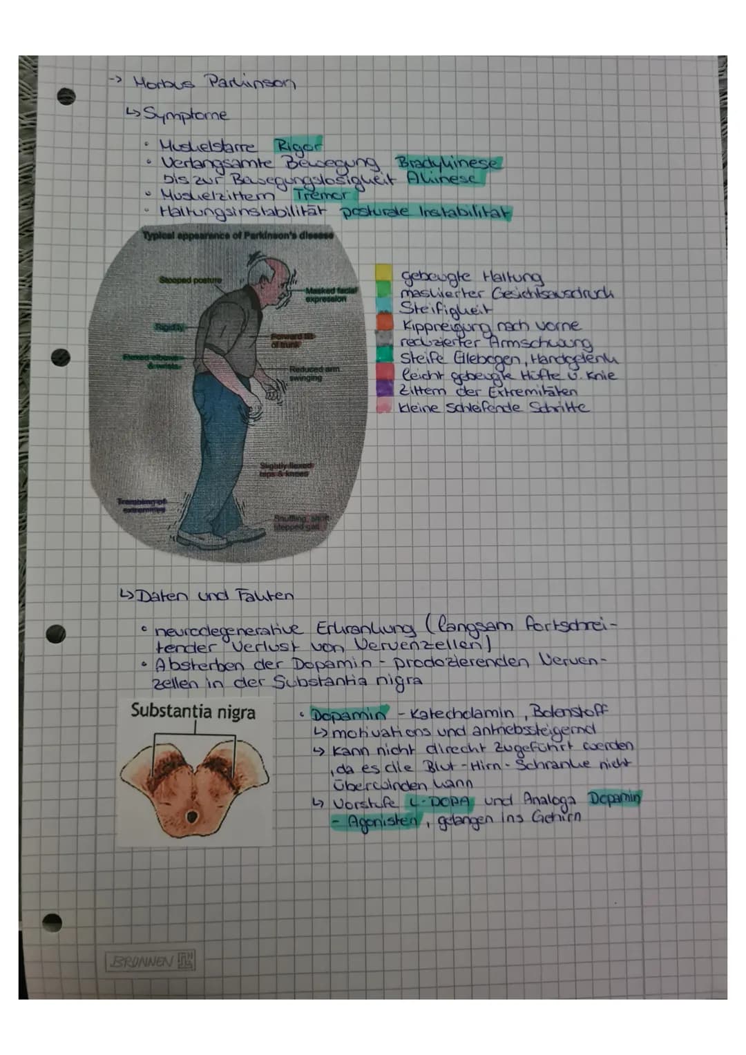 elektrischer
Impuls
Dopamin
Adenylatzyklase
0
Präsynaptische Nervenfaser
OO
0
16.00
Stimulation
C
CAMP
Dopamin-
bildung
CAMP
Hemmung
CAMP
Po