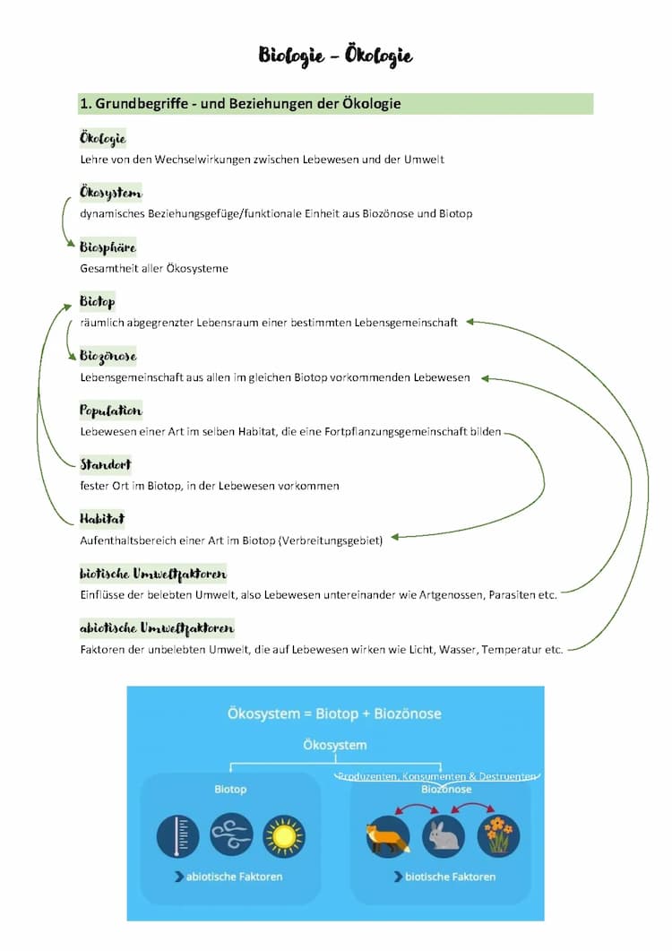 Know Ökologie mit Ökosystem See & Meer  thumbnail