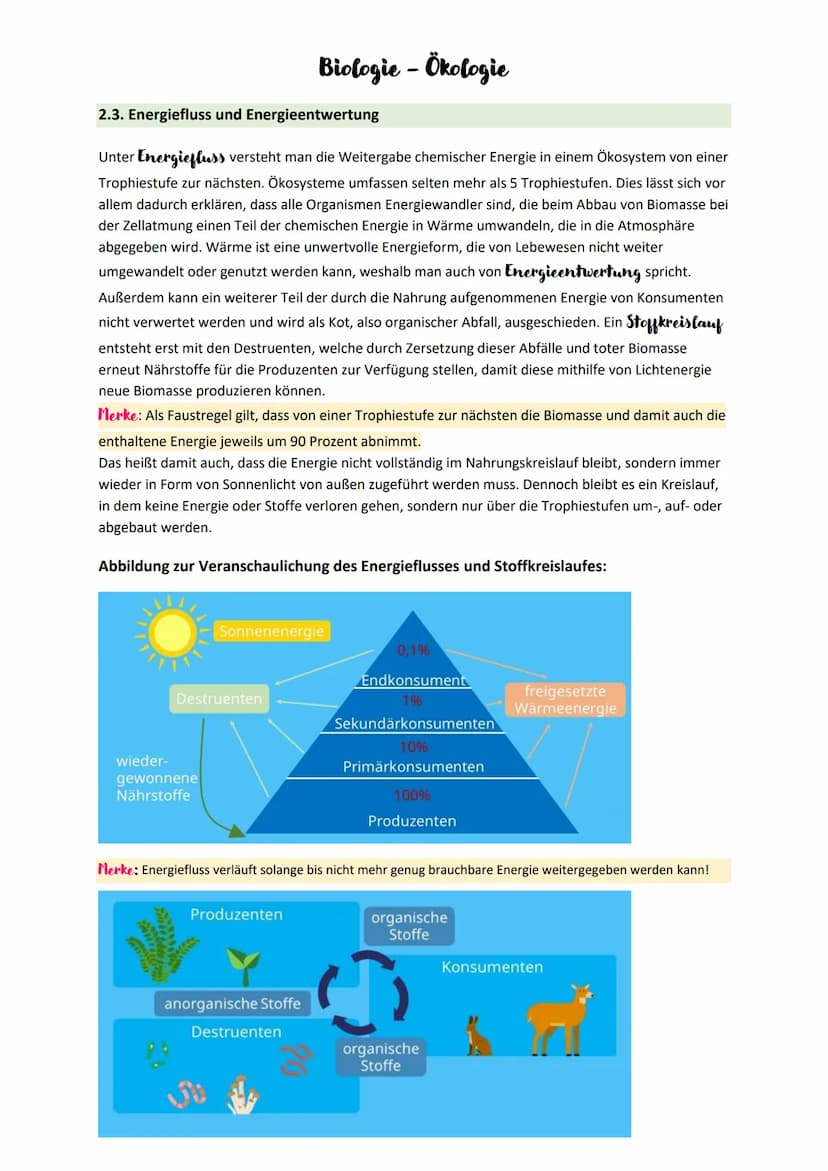 Biologie - Ökologie
1. Grundbegriffe - und Beziehungen der Ökologie
Ökologie
Lehre von den Wechselwirkungen zwischen Lebewesen und der Umwel