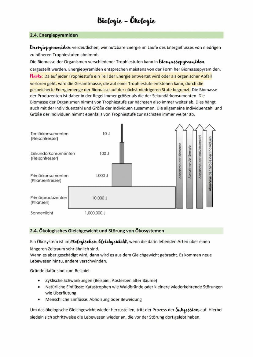 Biologie - Ökologie
1. Grundbegriffe - und Beziehungen der Ökologie
Ökologie
Lehre von den Wechselwirkungen zwischen Lebewesen und der Umwel