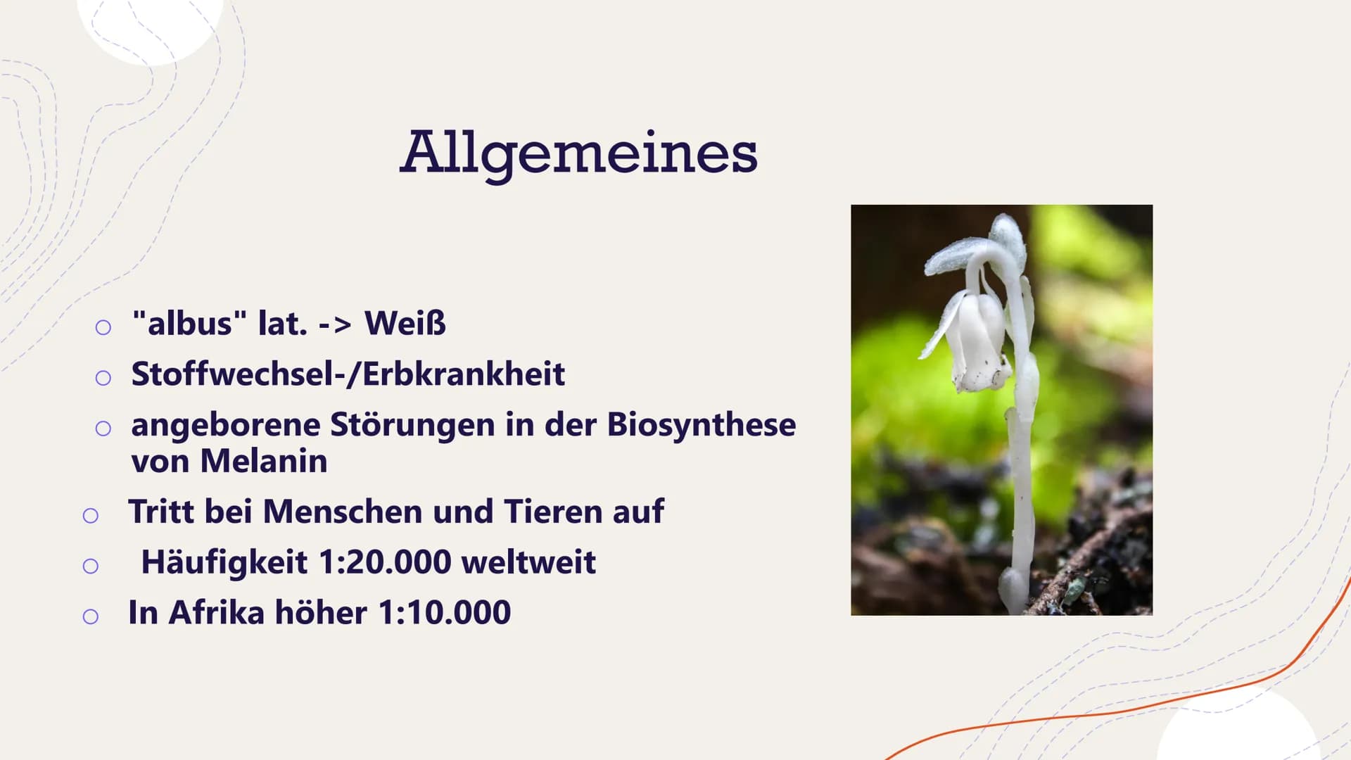 Albinismus
Von Henriette Dehnel Gliederung
Allgemeines
o Melanin
o Erbgang
o Phänotyp und Symptome
Formen des Albinismus
o Diagnose
o Therap