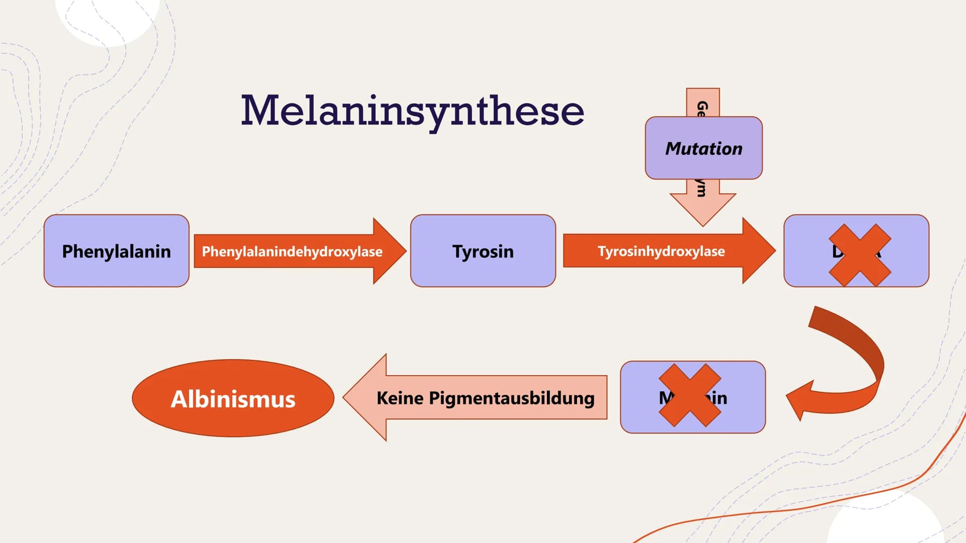 Albinismus
Von Henriette Dehnel Gliederung
Allgemeines
o Melanin
o Erbgang
o Phänotyp und Symptome
Formen des Albinismus
o Diagnose
o Therap
