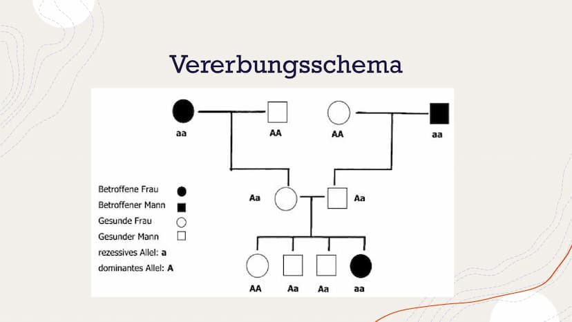 Albinismus
Von Henriette Dehnel Gliederung
Allgemeines
o Melanin
o Erbgang
o Phänotyp und Symptome
Formen des Albinismus
o Diagnose
o Therap