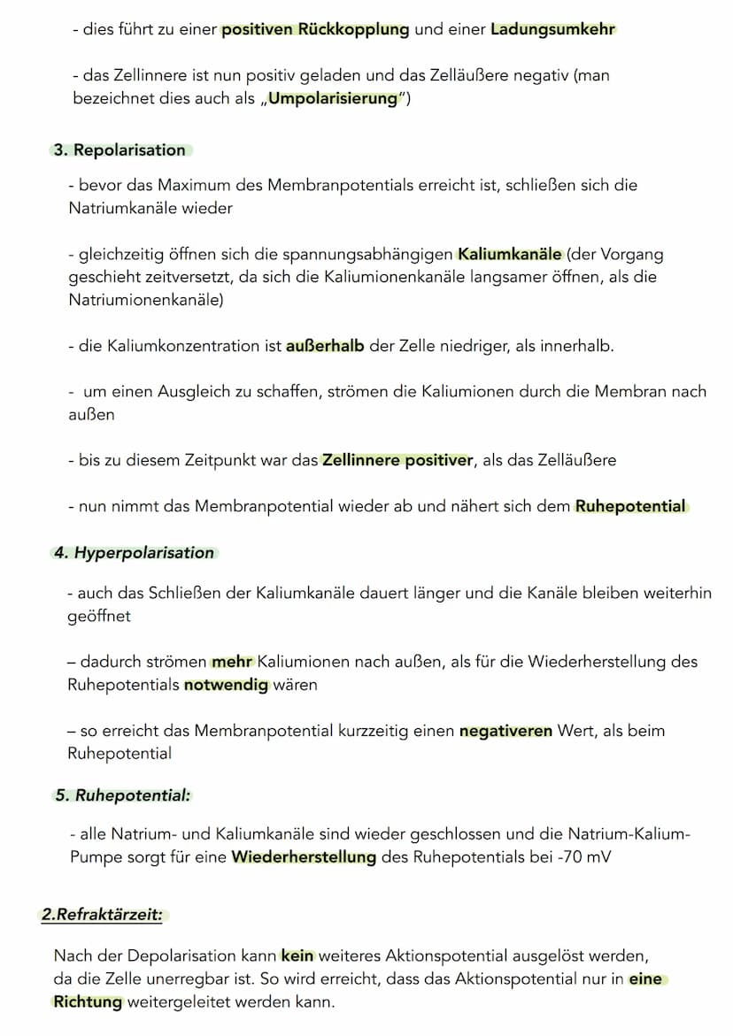 Neurobiologie
Aktionspotential
Ein Aktionspotential beschreibt die vorübergehende Änderung des Membranpotentials,
welches durch das Öffnen u