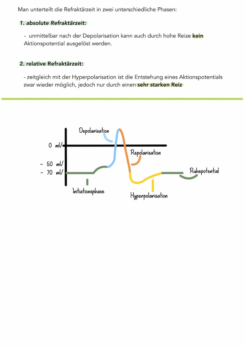 Neurobiologie
Aktionspotential
Ein Aktionspotential beschreibt die vorübergehende Änderung des Membranpotentials,
welches durch das Öffnen u