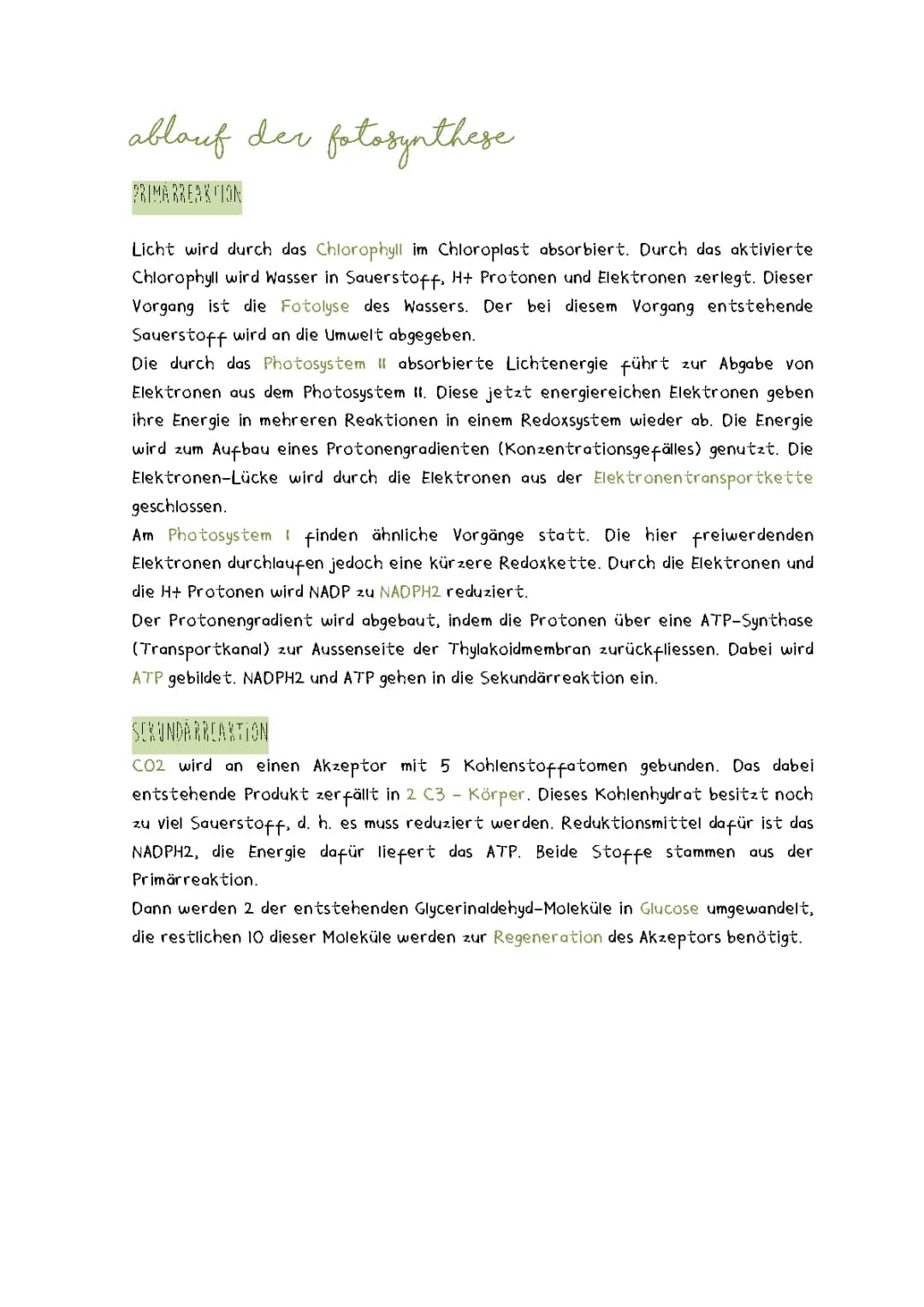 Ablauf Fotosynthese