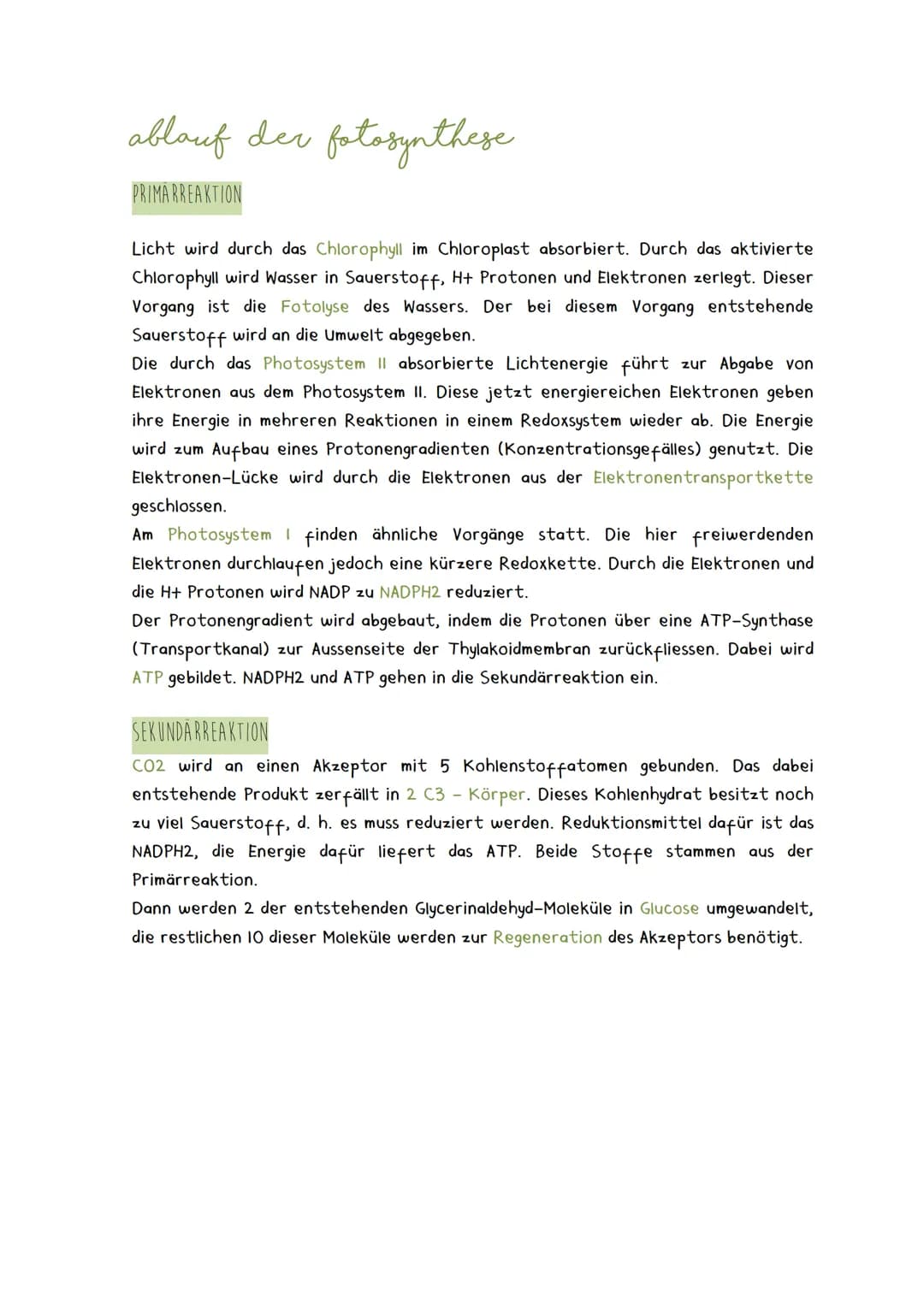 ablauf der fotosynthese
PRIMARREAKTION
Licht wird durch das Chlorophyll im Chloroplast absorbiert. Durch das aktivierte
Chlorophyll wird Was