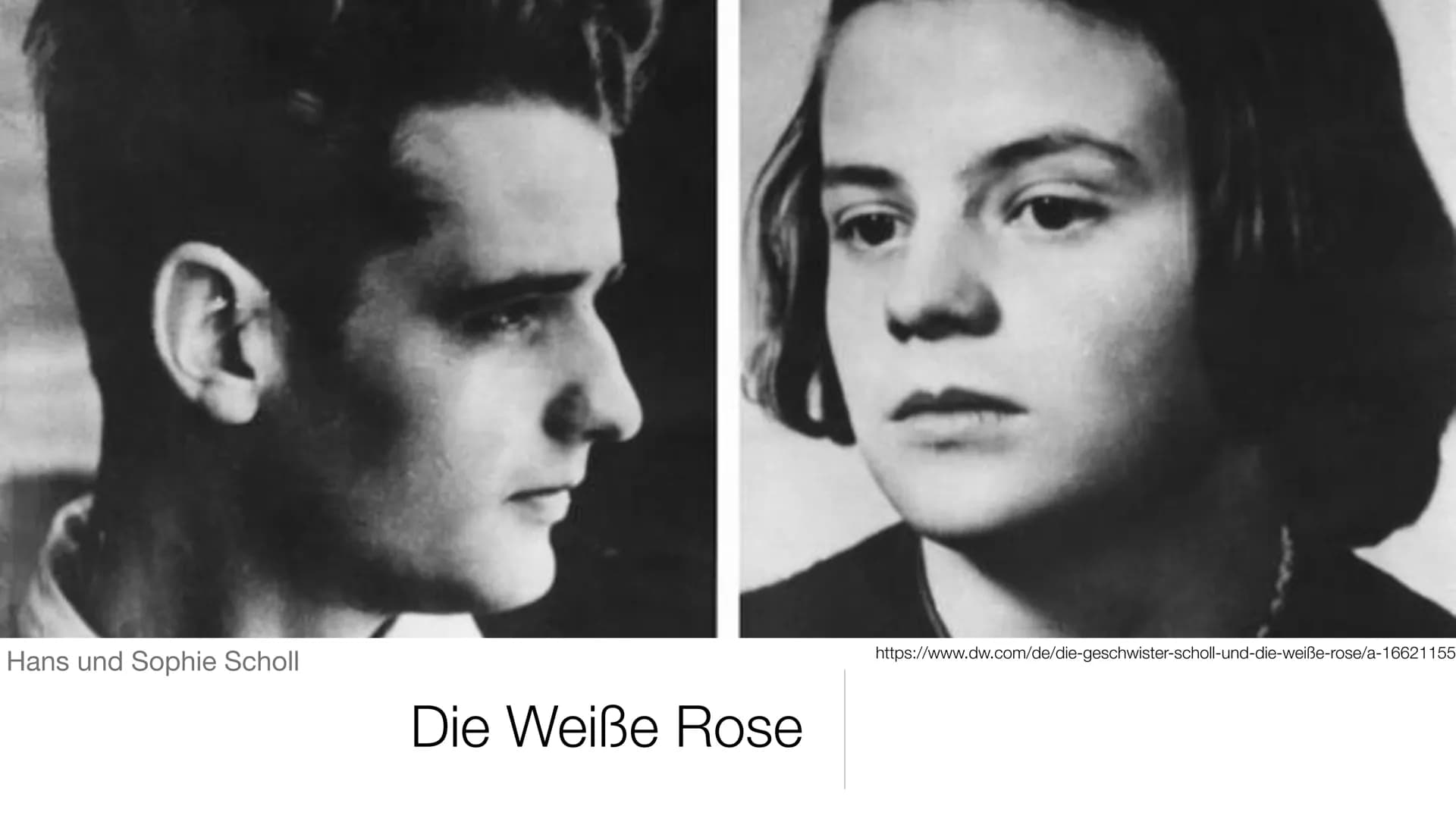 Hans und Sophie Scholl
Die Weiße Rose
https://www.dw.com/de/die-geschwister-scholl-und-die-weiße-rose/a-16621155 Inhalt
●
●
Der Name
Mitglie