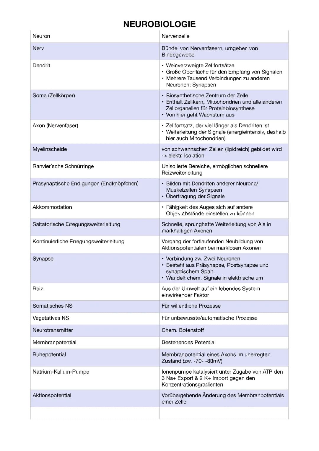 Neurobiologie Glossar