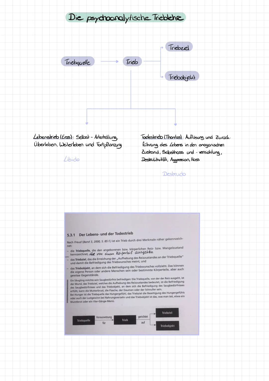Die psychoanalytische Trieblehre
Triebquelle
Lebenstrieb (Eros): Selbst- Arterhaltung,
Überleben, Weiterleben und Fortpflanzung
Libido
+
Tri