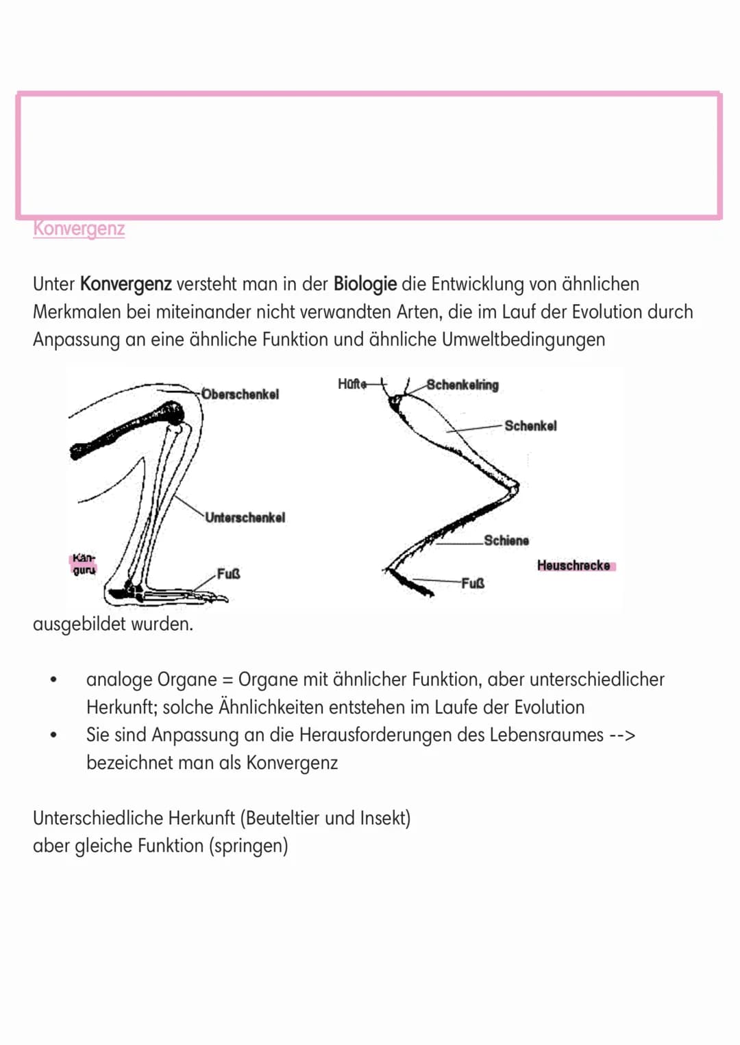 Homologie
Unter Homologie verstehst du Ähnlichkeiten biologischer Strukturen bei
verschiedenen Lebewesen aufgrund von gemeinsamer Abstammung