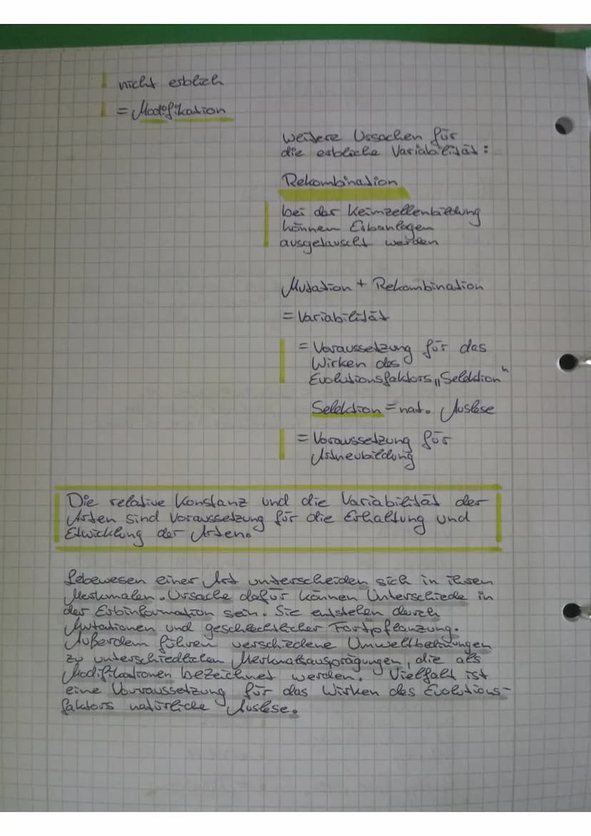 Genetik
Genelik - die Wissenschaft vom
Konstanz und Variabilität
Definition Konstanz
Konstanz = die Erbanlagen werden weitgehend
Variabilita