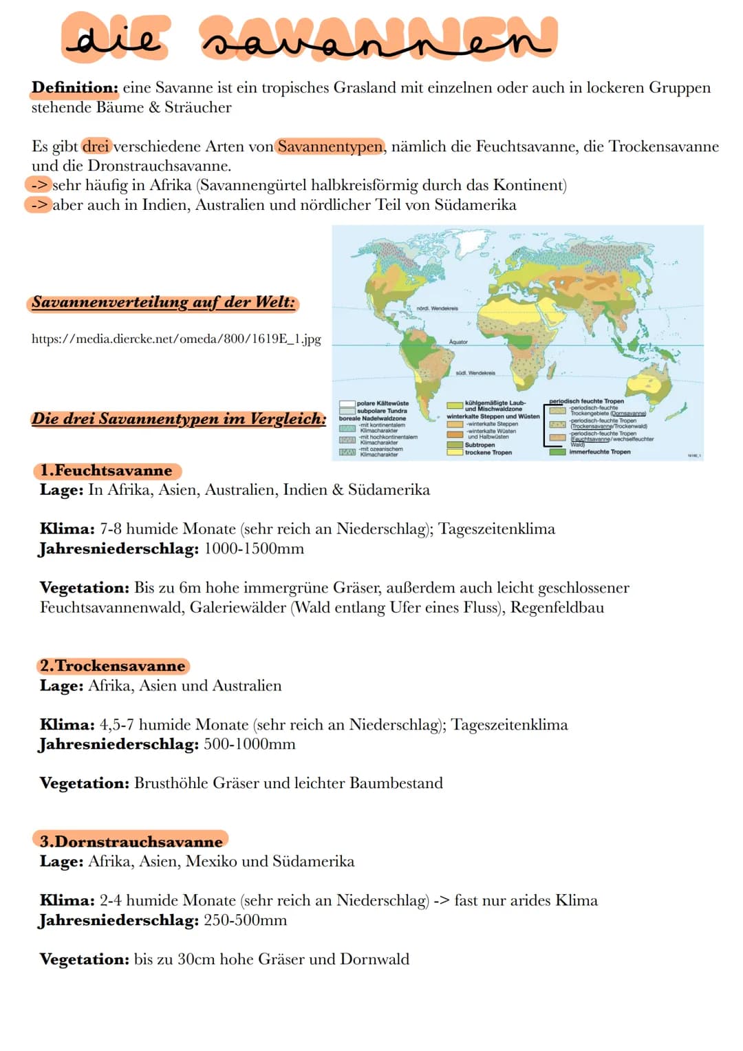 die savannen
Definition: eine Savanne ist ein tropisches Grasland mit einzelnen oder auch in lockeren Gruppen
stehende Bäume & Sträucher
Es 