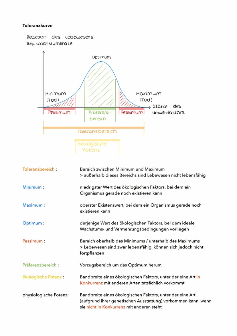 Merkblatt Ökologie - Toleranzkurve
Ökologie Definition
▸ Wissenschaft von den Beziehungen der Organismen zur umgebenden Außenwelt ( Ernst
He