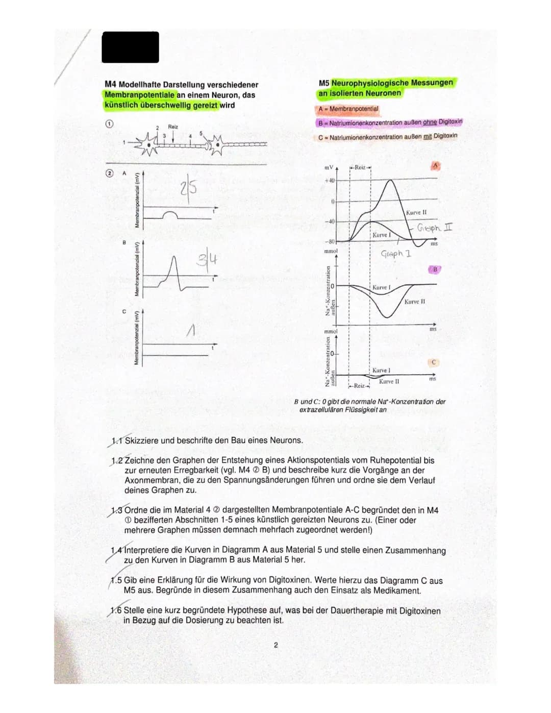 1.1
Denbrit
soma
1.2
+40mV+
430mV
+20 mv
+10 my
-10 mV
- 20mV
-30 mV
-40 mV+
SOMV
-60 mV
-DmVt
-80 mV
1. Bio klausur Q2
U
Zellkem
^
Membranp