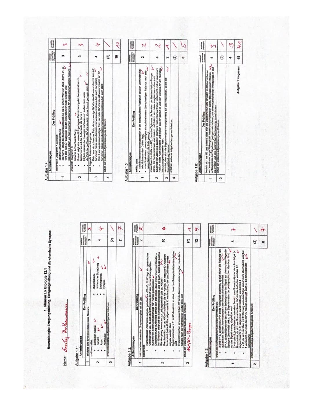 1.1
Denbrit
soma
1.2
+40mV+
430mV
+20 mv
+10 my
-10 mV
- 20mV
-30 mV
-40 mV+
SOMV
-60 mV
-DmVt
-80 mV
1. Bio klausur Q2
U
Zellkem
^
Membranp