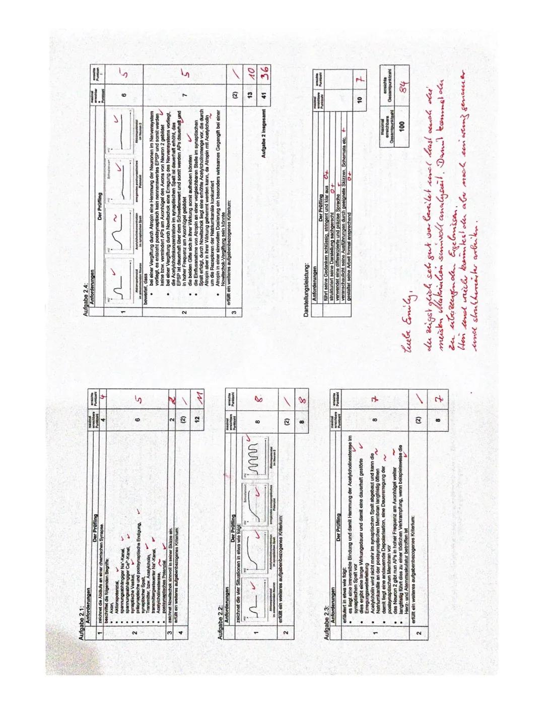 1.1
Denbrit
soma
1.2
+40mV+
430mV
+20 mv
+10 my
-10 mV
- 20mV
-30 mV
-40 mV+
SOMV
-60 mV
-DmVt
-80 mV
1. Bio klausur Q2
U
Zellkem
^
Membranp