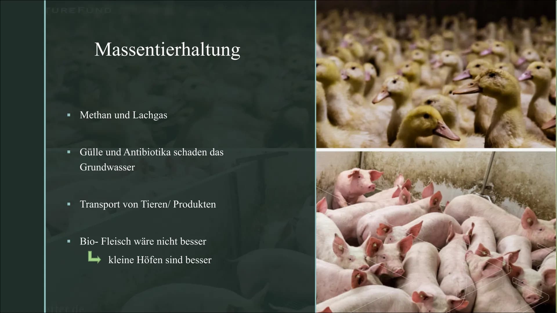 Große Folgen für
die Umwelt
Fleischkonsum ■
■
Gliederung:
Fleischkonsum in Deutschland
Massentierhaltung
■ Fleischkonsum VS Umwelt
Soja und 