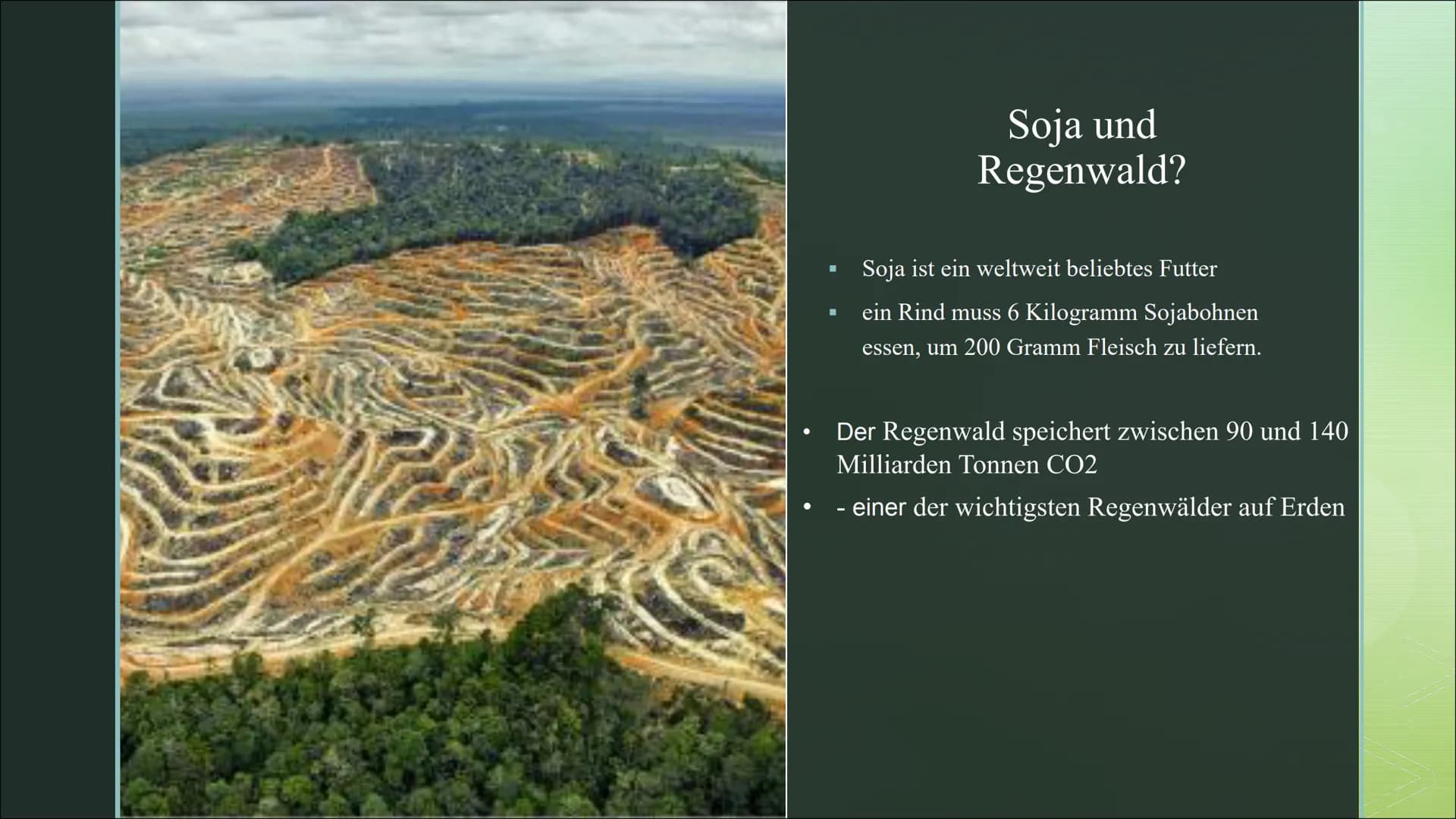 Große Folgen für
die Umwelt
Fleischkonsum ■
■
Gliederung:
Fleischkonsum in Deutschland
Massentierhaltung
■ Fleischkonsum VS Umwelt
Soja und 