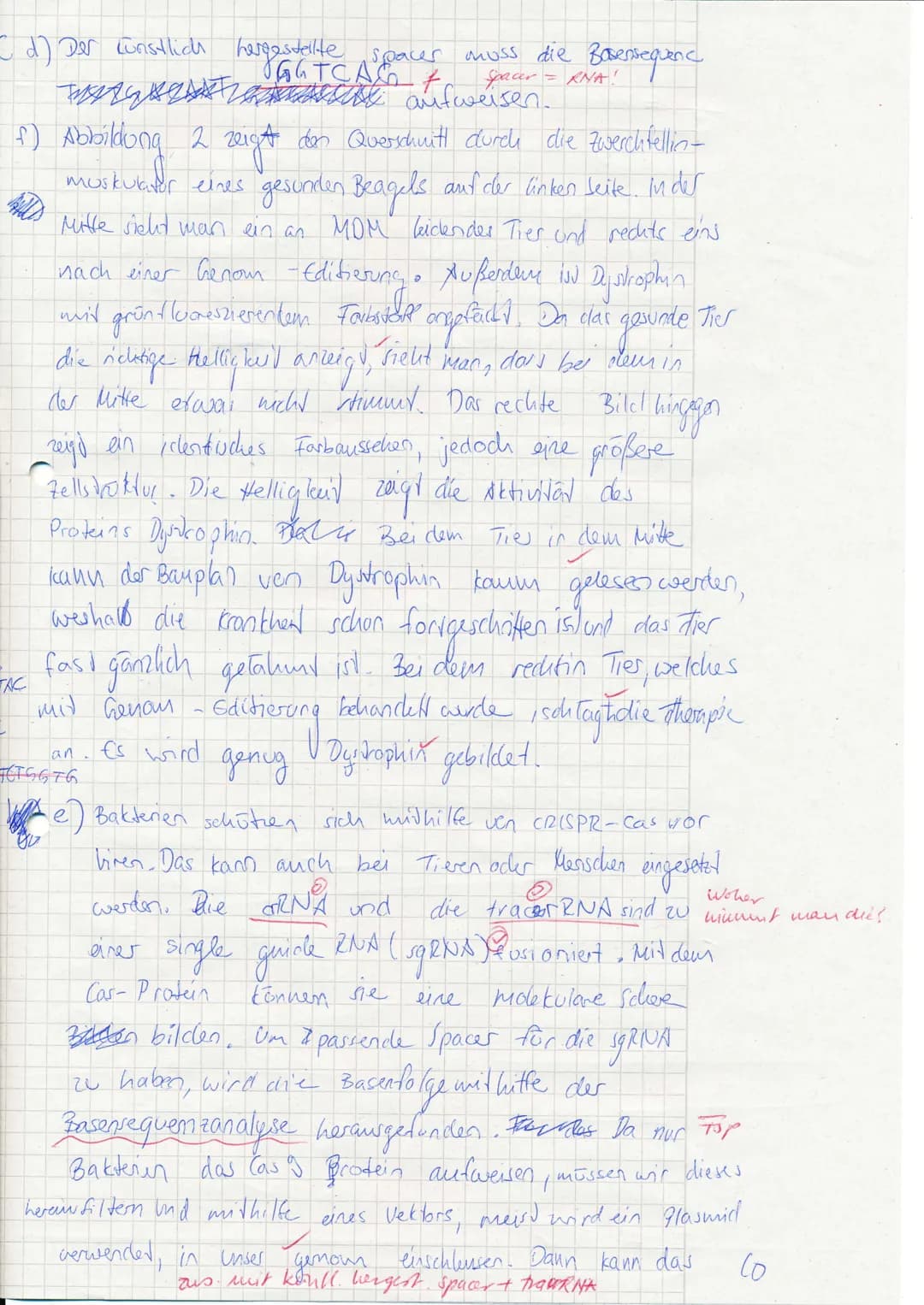Malaki!
am 3. Catom
GhH QU
Gruppe
VP:
interferrent Transe stopp
30,51 42
Klausur no 2
NP: 42
UN: 13
+ Bitte beachten + Bitte beachten + Bitt