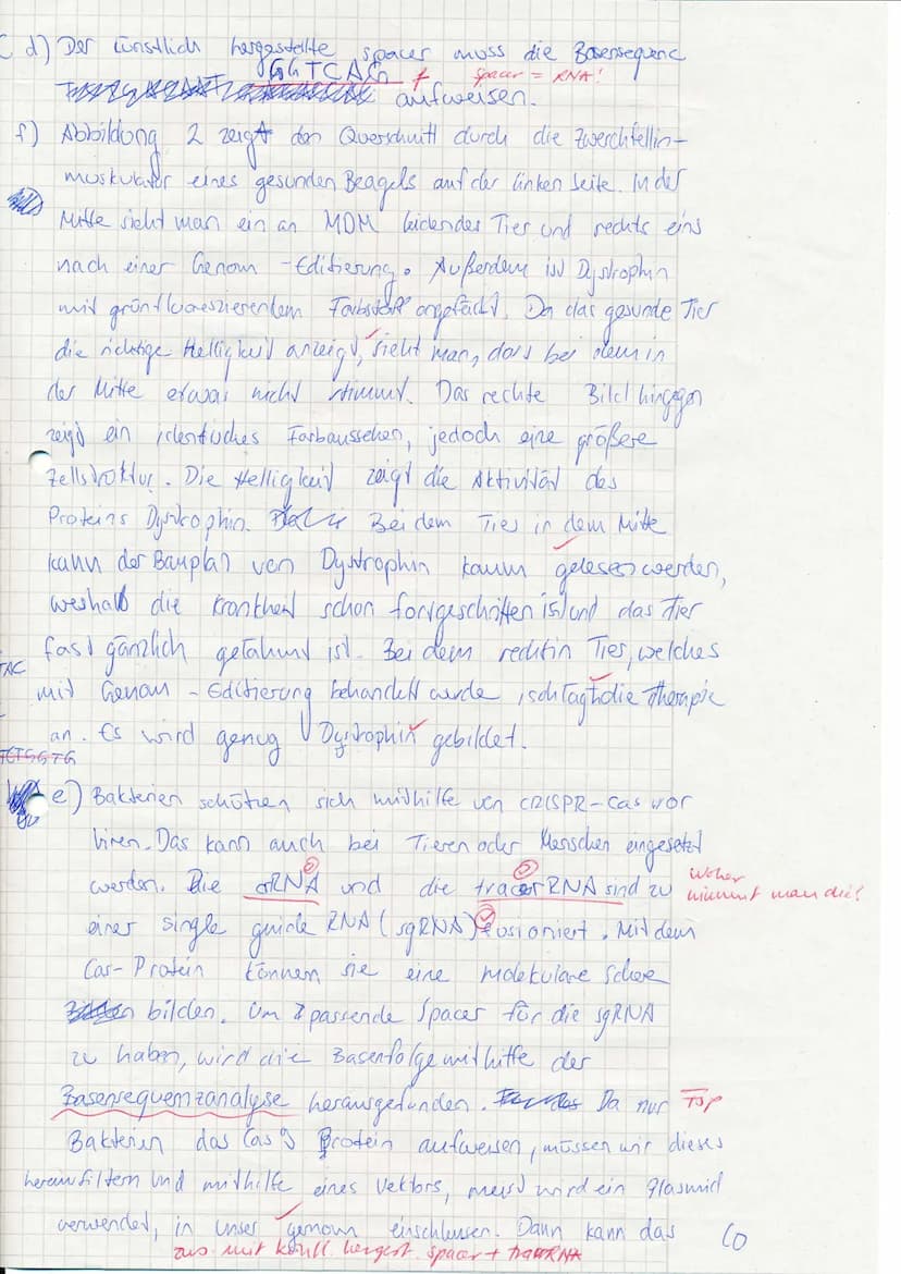 Malaki!
am 3. Catom
GhH QU
Gruppe
VP:
interferrent Transe stopp
30,51 42
Klausur no 2
NP: 42
UN: 13
+ Bitte beachten + Bitte beachten + Bitt
