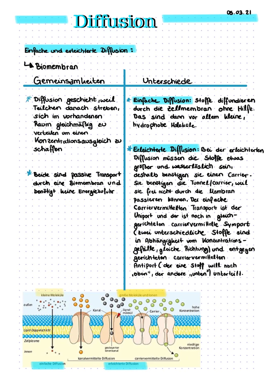 Einfache und erleichterte Diffusion :
Biomembran
außen
DO
Gemeinsamkeiten
sich im vorhandenen
Raum gleichmäßig zu
・verteilen um einen
Konzen