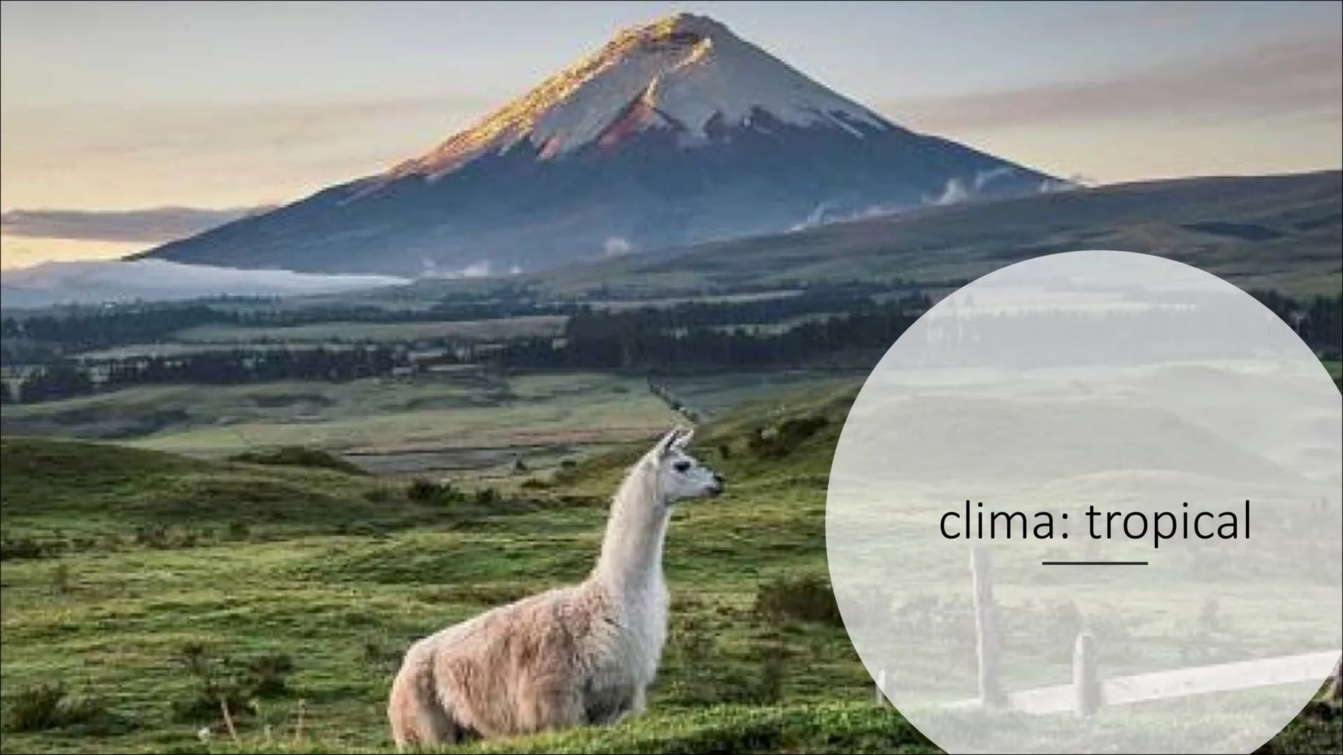 Ecuador
Ecuador es un pais situado en la parte noroeste de América del Sur. La lengua
oficial es español y la capital es Quito.
La moneda es