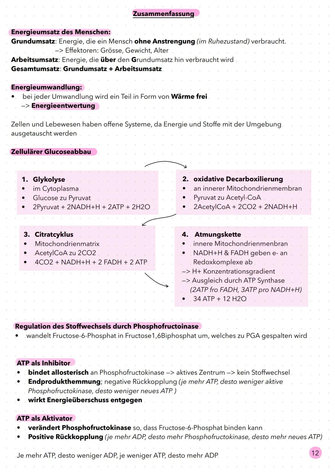 Stoffwechsel 2.8 Bereitstellung von Energie aus Glucose
Bei Bewegung erhöht sich der Energiebedarf des menschlichen Körpers, da mehr Muskeln